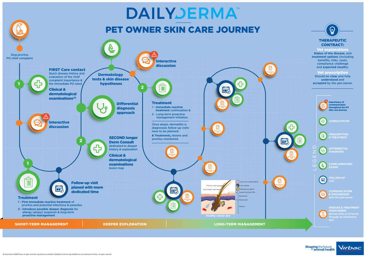 DailyDerma Posters Diagnosis & PO Journey A2